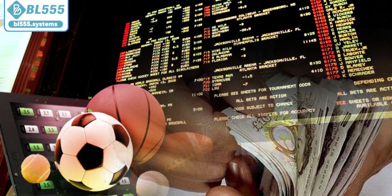 Danh mục sản phẩm phong phú tại BL555